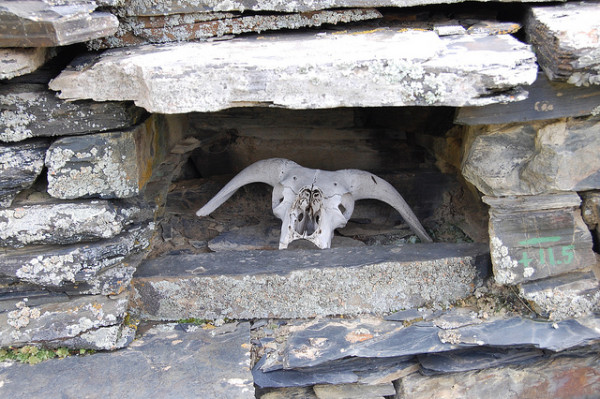 Autor zdjęcia: J. Wójtowicz