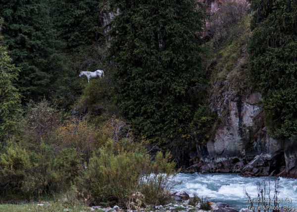 KIrgistan co zobaczyc