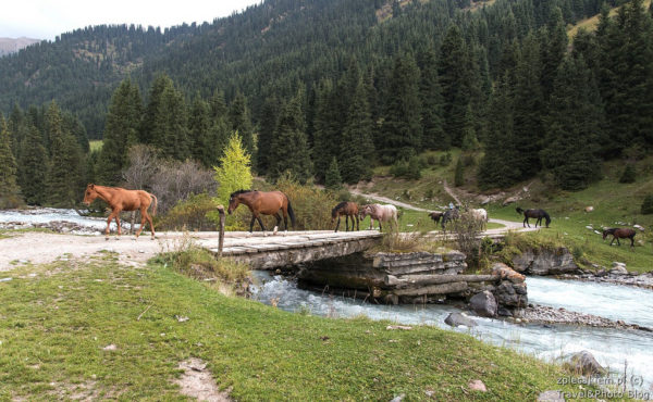 KIrgistan co zobaczyc