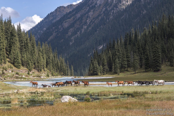 KIrgistan co zobaczyc