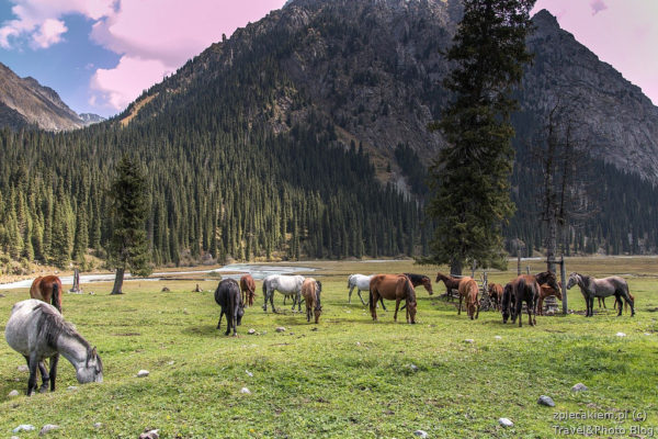 KIrgistan co zobaczyc