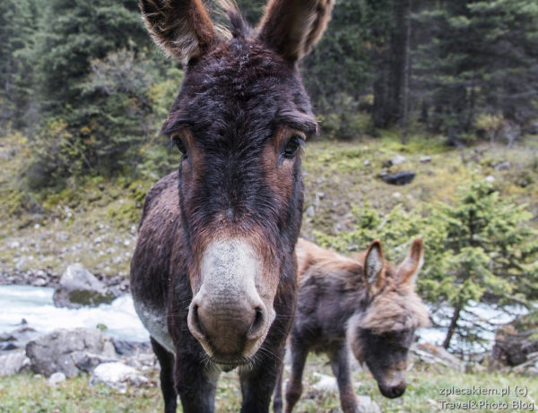 KIrgistan co zobaczyc