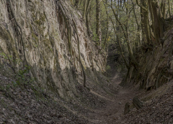 Sandomierz co zobaczyć